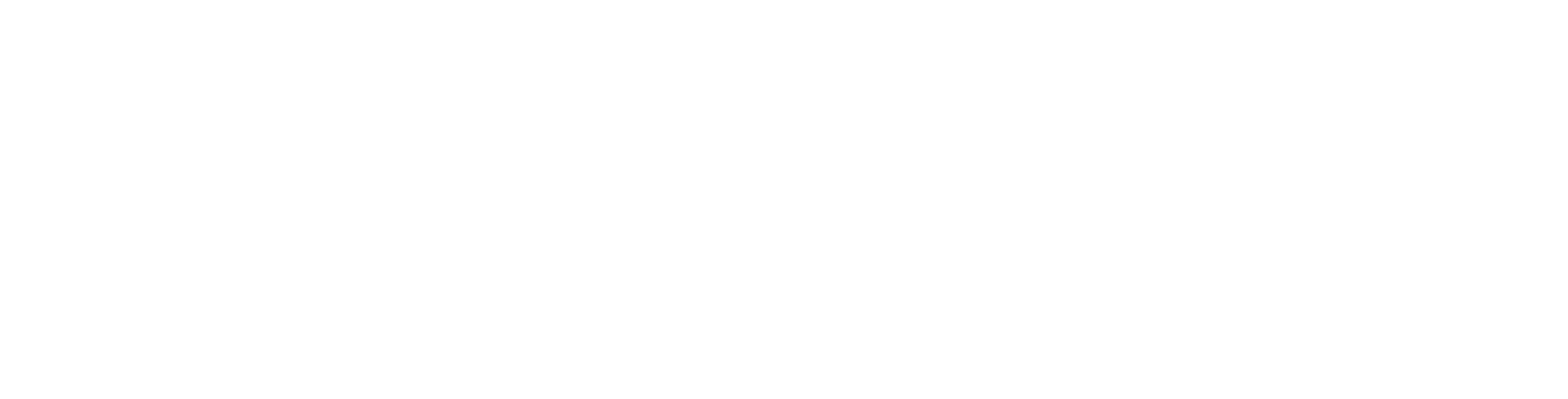 EXECUTE